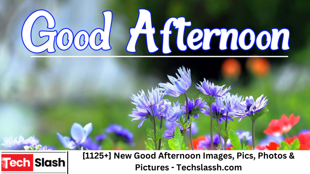 [1125+] New Good Afternoon Images, Pics, Photos & Pictures - Techslassh.com